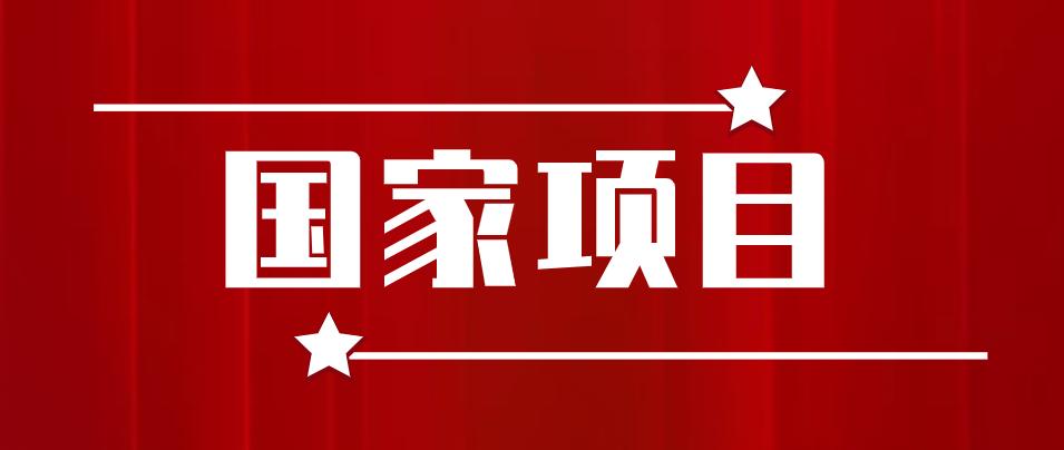 广州凯东网络科技 深耕网络科技研发，驱动数字化未来